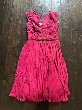 Tadashi Shoji Fuchsia V-Neck Pleated Women’s Dress with Beaded Waist